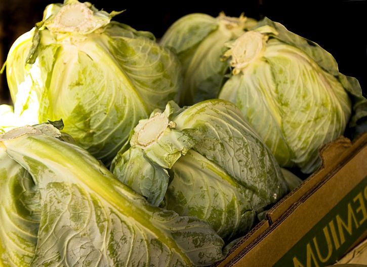 E Coli Prompts Lettuce Recall Unsafe Products